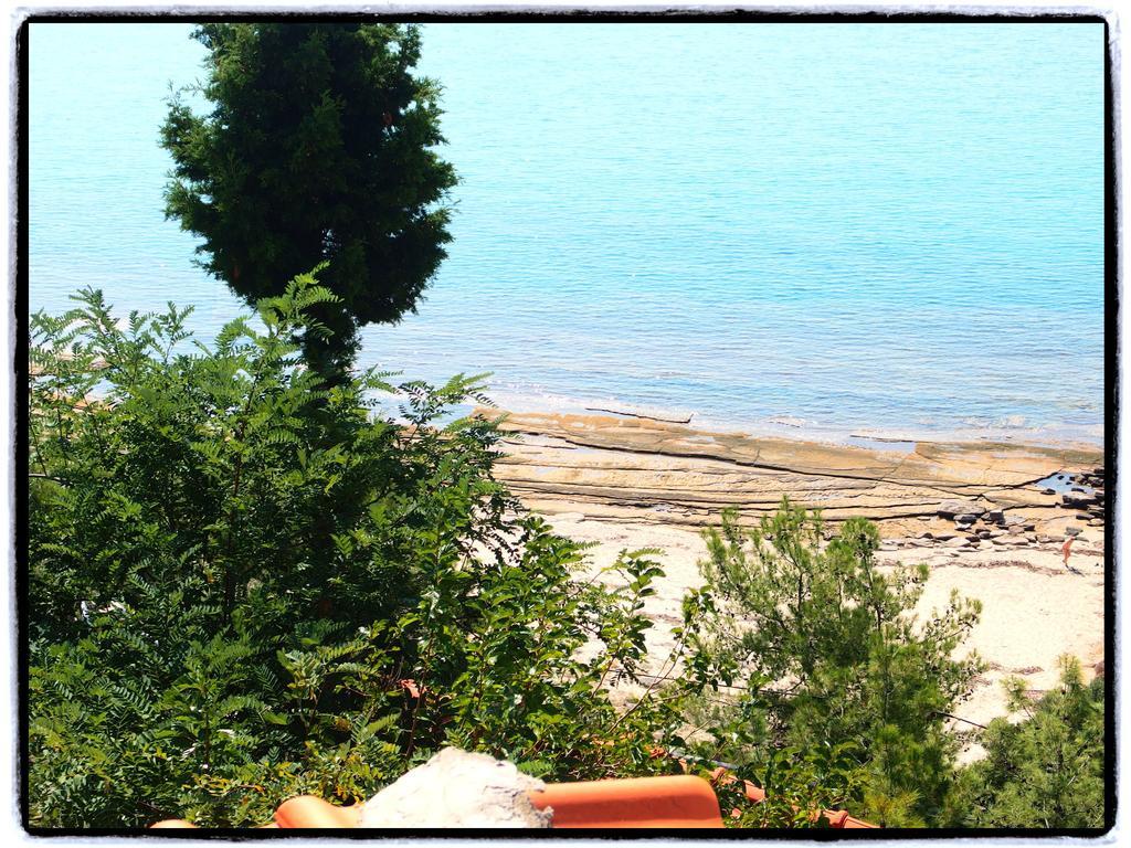 Thanasis *